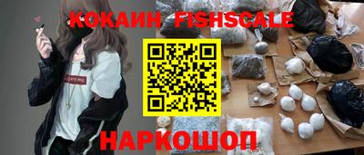 меф Гатчина
