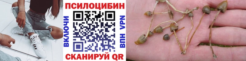 хочу наркоту  Новочеркасск  Псилоцибиновые грибы Magic Shrooms 
