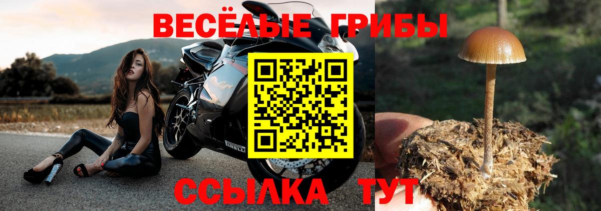 Псилоцибиновые грибы мухоморы Новочеркасск