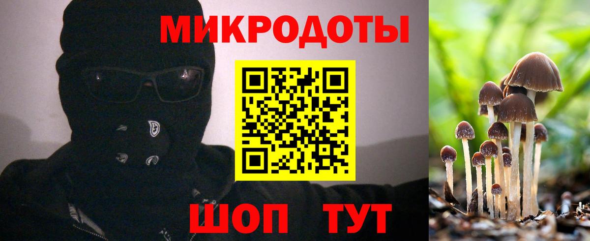 Новочеркасск  Псилоцибиновые грибы мицелий  наркотики  Вход с VPN 